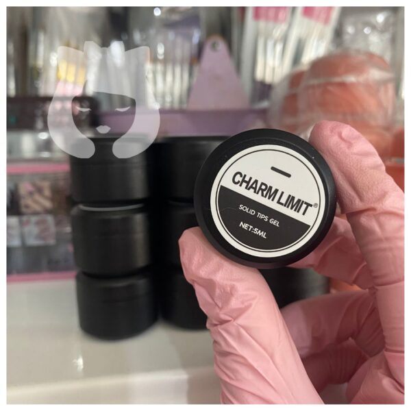Gel Solido Charm Limit 5g