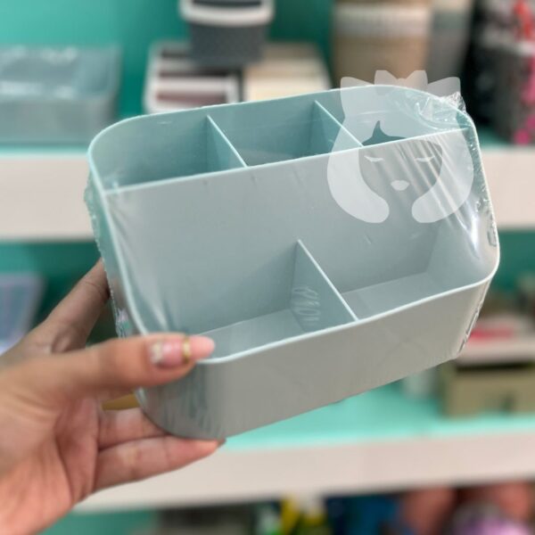 Organizador 5 Divisiones