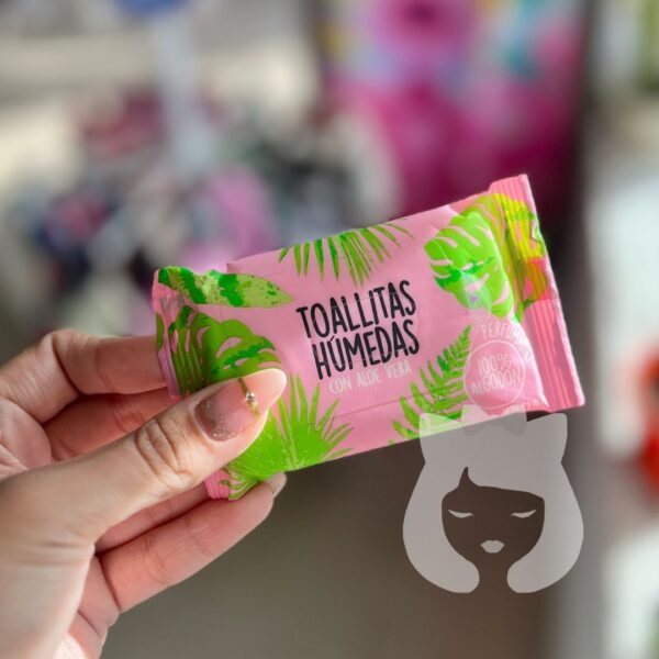 Toallitas Húmedas P/Manos Aloe Vera