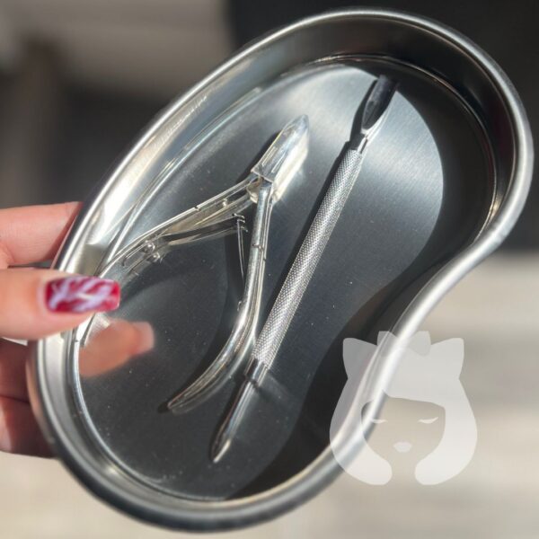 Bandeja Acero Inoxidable