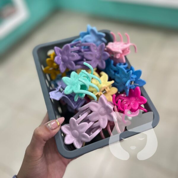 Broche Color