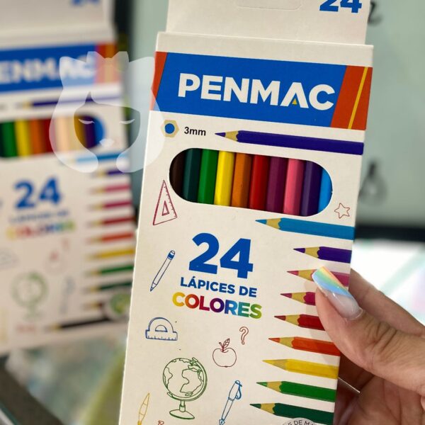 Lapices Colores 24pcs